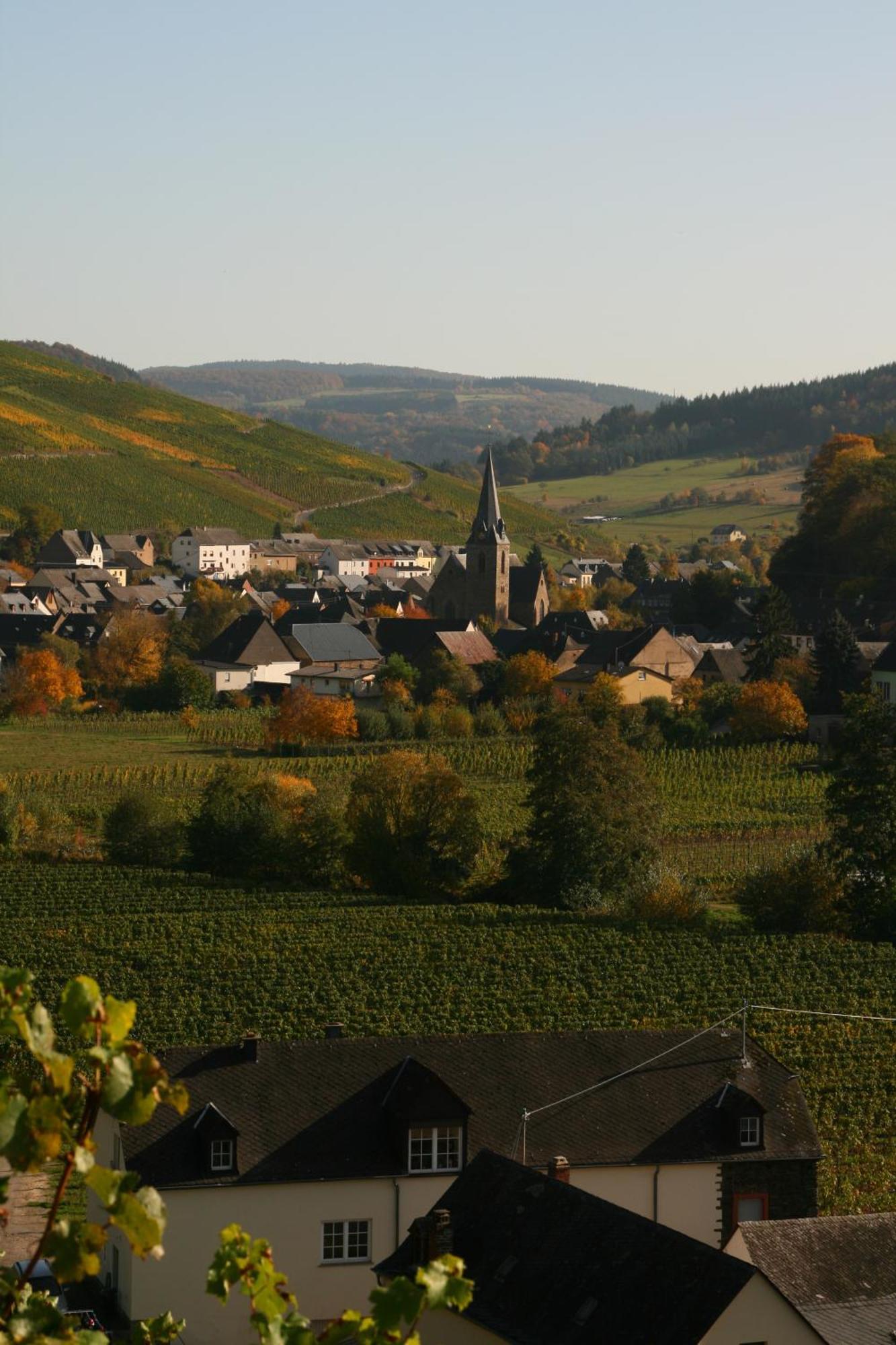 Weingut & Gaestehaus Stephan Kohl Neumagen-Dhron Extérieur photo